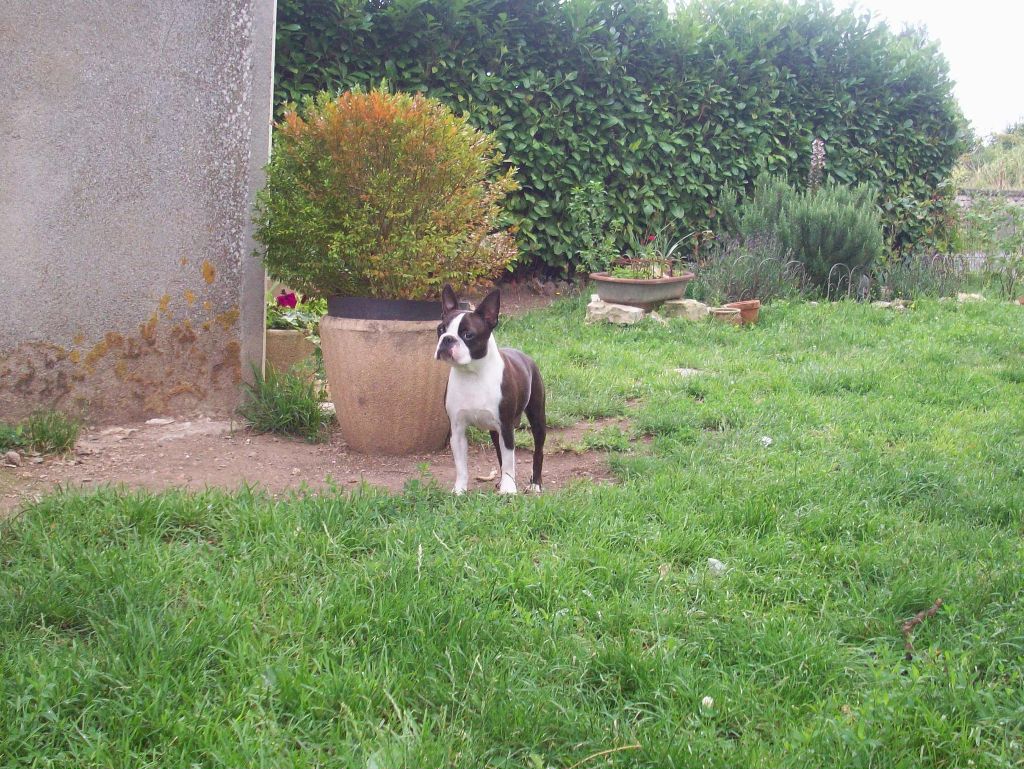 I'm joy de Milantosa